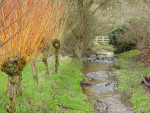 Arboretum Poortbulten
